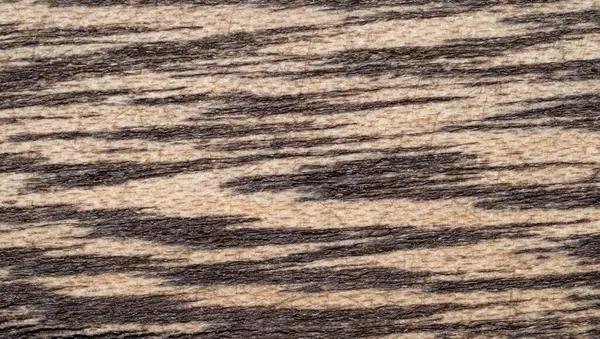 Holzstruktur Von Einer Getönten Farbe Nahaufnahme Hintergrund Aus Natürlichem Holz lizenzfreie Stockfotos