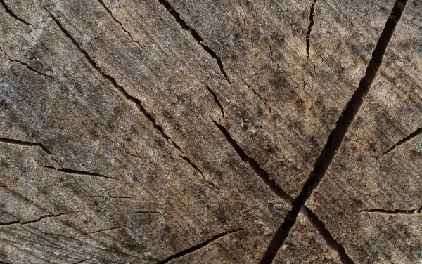 Holzstruktur Von Einer Getönten Farbe Nahaufnahme Hintergrund Aus Natürlichem Holz Stockfoto