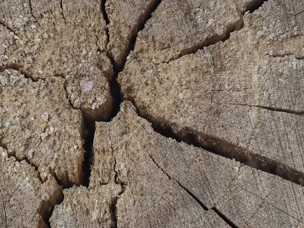 Holzstruktur Von Einer Getönten Farbe Nahaufnahme Hintergrund Aus Natürlichem Holz Stockbild