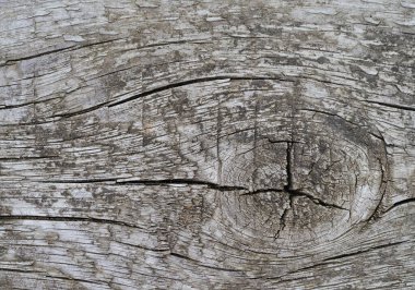 Arkaplanda çizikler olan koyu kahverengi ahşap doku