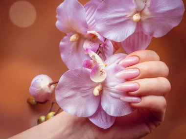 Güzel Kadın Elleri. Spa ve Manikür konsepti. Pembe manikürlü kadın elleri.