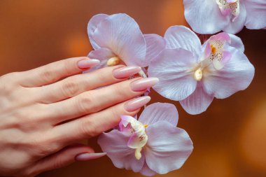 Güzel Kadın Elleri. Spa ve Manikür konsepti. Pembe manikürlü kadın elleri.