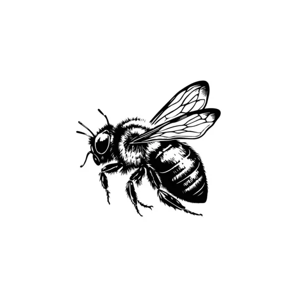 Detaylı Bee Silhouette. Vektör simgesi.