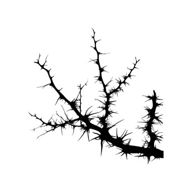 Thorny Branch 'ın silueti. Vektör simgesi tasarımı.