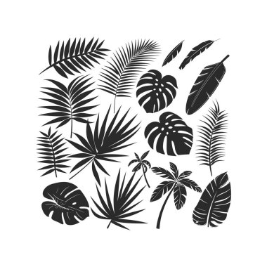 Tropical Palm Leaves and Plants Silhouettes Collection. Vector icon design. clipart