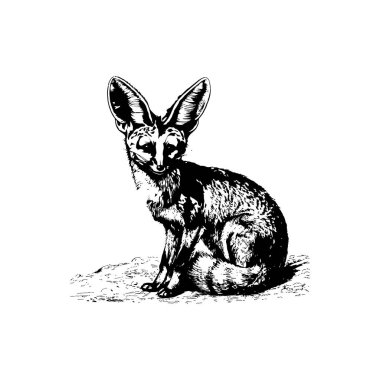 Detailed fennec fox sitting with large ears. Vector illustration design. clipart