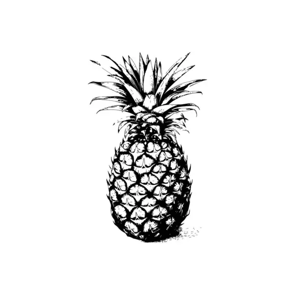 Stock vector Hand-drawn Pineapple. Vector illustration design.