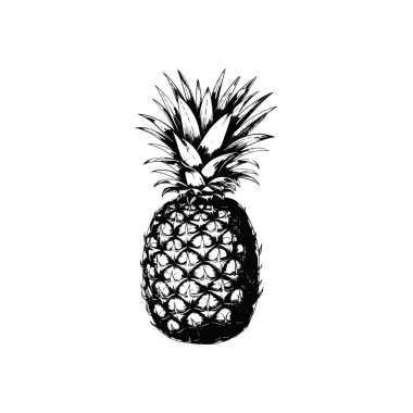 Siyah ve Beyaz Ananas. Vektör illüstrasyon tasarımı.