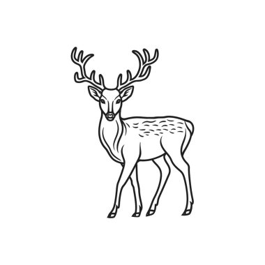 Line drawing of a deer with antlers. Vector illustration design. clipart