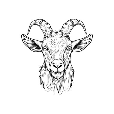 View Goat Head Illustration with Curved Horns. Vektör illüstrasyon tasarımı.