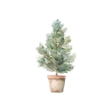 Watercolor illustration of a potted Christmas tree. Vector illustration design. clipart