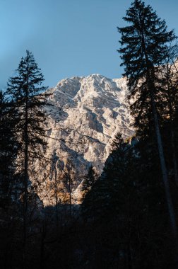 Ormanın ve dağların dikey manzarası. Mavi gökyüzünün altındaki dağ sıralarında kozalaklı ağaçlarla görkemli bir manzara.