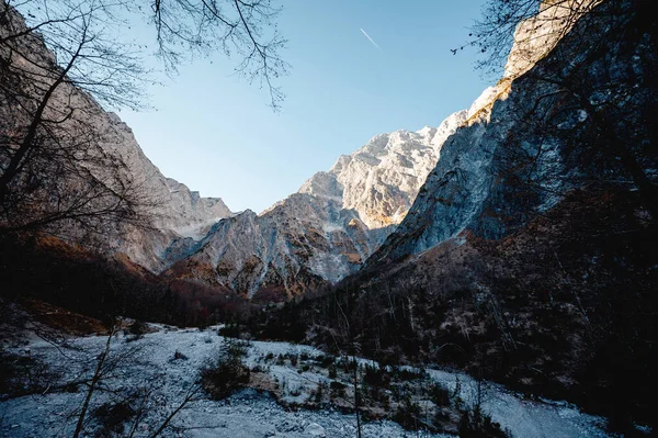 Bergslandskap Med Skogsnatur Majestätiskt Landskap Med Träd Bergskedjan Blå Himmel — Stockfoto