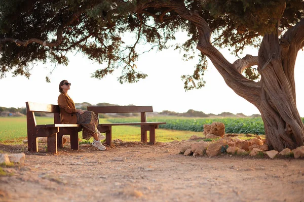 在塞浦路斯 一个戴着太阳镜 穿着时髦衣服的年轻漂亮的女人坐在那棵爱情老树旁的木制长椅上 人员和度假概念 — 图库照片