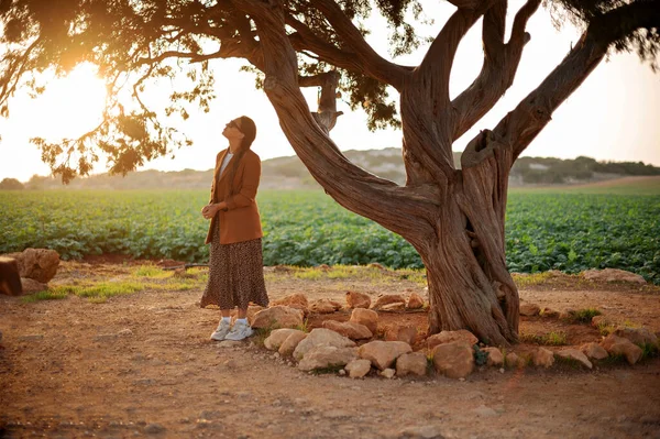 在塞浦路斯 迷人的高加索女人戴着时髦的太阳镜 穿着时髦的衣服 站在恋人的树下 参观历史名胜古迹 度假和旅行概念 — 图库照片