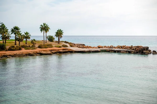 在Ayia Napa的蓝色泻湖与碧绿的大海 海滩与石头和棕榈树 塞浦路斯美丽的旅游胜地 — 图库照片