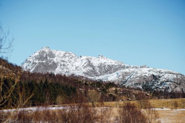Norveç 'te karlı zirveleri olan ormanın ve dağların manzaralı bahar manzarası. Güneşli bir günde mavi gökyüzü