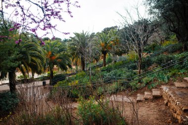 Exotic palms and plants at Antoni Gaudis park in Catalonia district. Beautiful nature scenery of tropical garden with rocky steps during springtime.