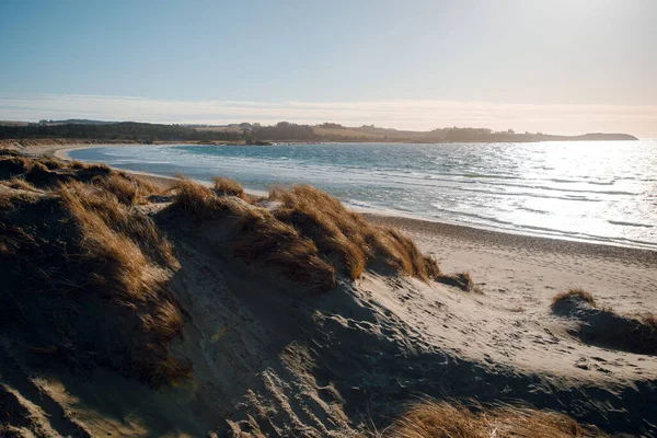 Гарний Піщаний Пляж Жовтою Травою Холодним Морем Норвегії Сильний Вітер — стокове фото