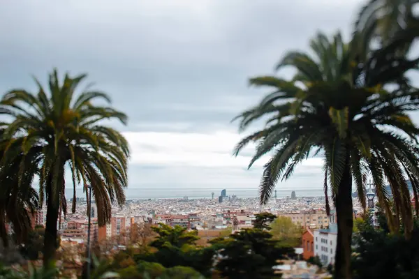 Amazing View Barcelona City Park Guell Spring Day Tall Straight — Photo