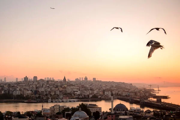 Естественный Фон Красивого Утреннего Стамбула Уютной Атмосферой Традиционной Архитектурой Чайки — стоковое фото