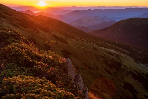 Захватывающий Вид Летний Закат Над Высокими Горами Красивой Зеленой Природой — стоковое фото
