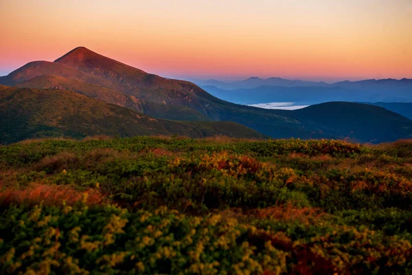 Hautes Montagnes Verdoyantes Avec Léger Brouillard Autour Coucher Soleil Incroyable — Photo