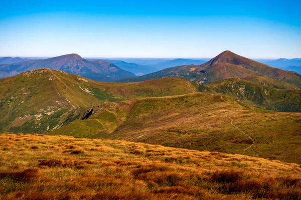 Güçlü Yüksek Dağların Resimli Görüntüsü Yeşil Bitkiler Tepeleri Kapladı Güzel — Stok fotoğraf