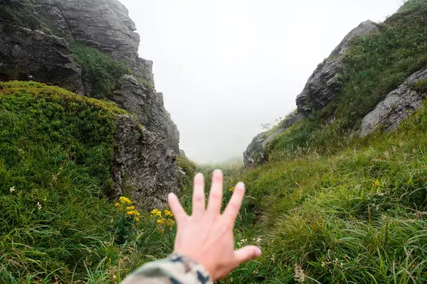 Dağlardaki Yeşil Doğanın Güzel Arka Planına Sahip Bir Erkek Eli — Stok fotoğraf