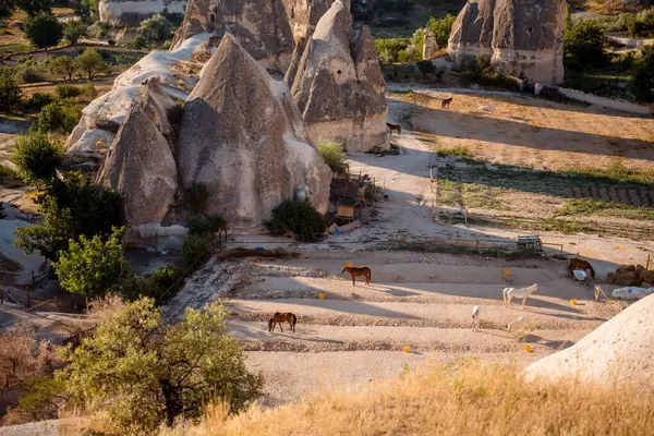 土耳其山谷中的岩石与农田和马放牧 小村子里典型的生活方式卡帕多西亚地区 — 图库照片