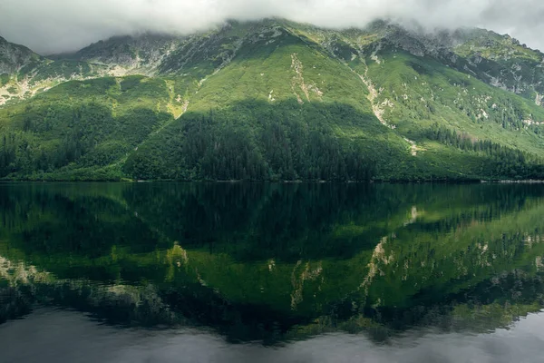 Mysterious Foggy Green Mountain Forrest Hills Reflection Lake Morskie Oko — Stock Photo, Image