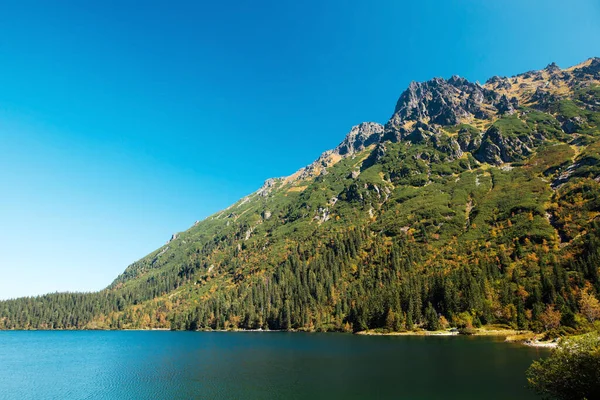 Vista Fascinante Das Montanhas Tatra Com Floresta Verde Lago Morskie — Fotografia de Stock