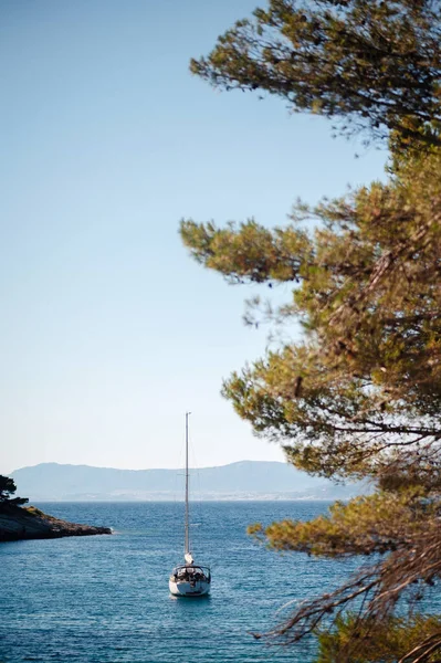 克罗地亚亚得里亚海水晶清澈水面上航行的一艘现代帆船 郁郁葱葱的大树坐落在美丽风景的前景上 在布拉克岛的暑假 — 图库照片