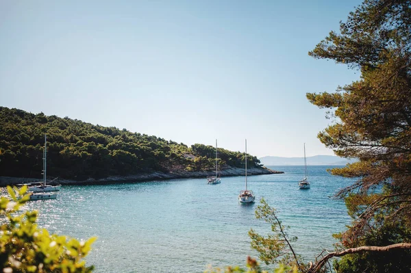 Adriatic Sea Four Motor Yachts Background Dense Forest Brac Island — Stock Photo, Image
