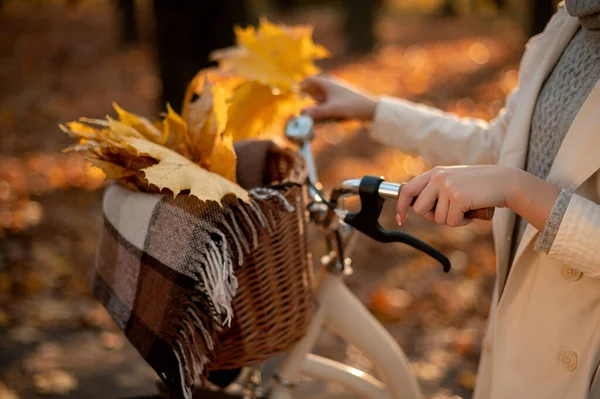 Vista Cortada Mulher Elegante Andando Com Bicicleta Desfrutando Clima Outono — Fotografia de Stock