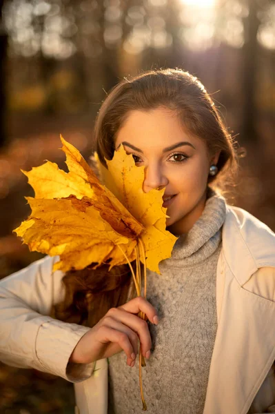 Portret Pięknej Jesiennej Kobiety Stojącej Kolorowymi Jesiennymi Liśćmi Całkiem Szczęśliwy — Zdjęcie stockowe
