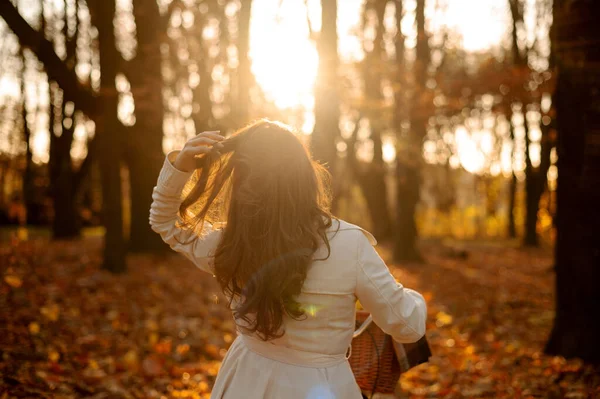 Pohled Zezadu Stylovou Ženu Kráčející Kole Užívající Podzimní Počasí Parku — Stock fotografie