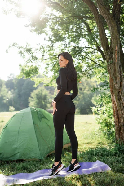 山の中で朝を楽しみながら風景を見ている若い女性 魅力的な若い女性ハイカーの屋外ショット — ストック写真