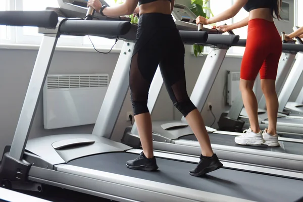 Modern spor salonundaki koşu bandında birlikte koşan formda genç kadınlara yakın durun. Spor kulübünde simülatör üzerinde egzersiz yapan iki aktif bayan..