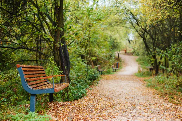 Wooden Bench Krakow Autumn Park Fallen Leaves Ground Path Zakrzowek — Stock Photo, Image