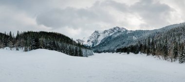 Karlı Tatry dağlarındaki güzel kış manzarası valey, Dolina Malej Laki - Polana Malolacka. Zakopane, Polonya 