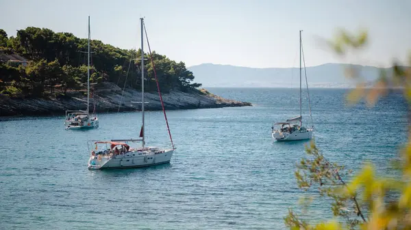 Adriatic Sea Three Motor Yachts Background Dense Forest Brac Island — Stock Photo, Image