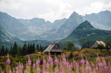 Önünde ahşap kulübeler ve mor kır çiçekleri olan manzaralı dağ manzarası, yemyeşil ve bulutlu bir gökyüzünün altında yükselen tepelerle çevrili..