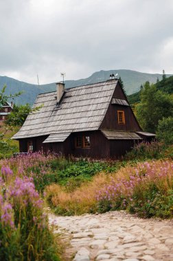 Kırsal bir ahşap kulübe. Etrafı kır çiçekleri ve yeşilliklerle çevrili. Bulutlu bir gökyüzünün altındaki dağ zeminine kurulmuş..