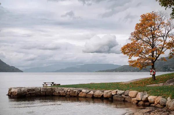 Taş duvarlı sakin bir göl manzarası, sonbahar yapraklı bir ağaç ve piknik masası. Bulutlu gökyüzü ve uzak dağlar sakin bir atmosfer yaratır..
