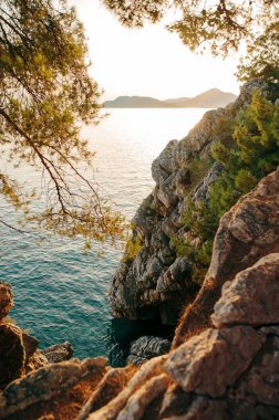 Gün batımında sakin bir denize bakan çam ağaçlarıyla kayalık bir sahil manzarası..