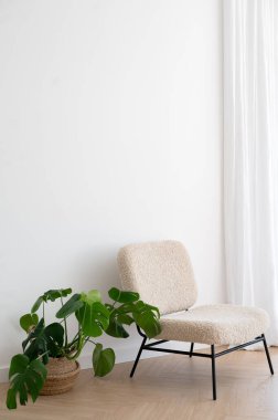 Minimalist bir iç mekan, rahat bir sandalye ve beyaz bir duvara karşı saksı bitkisi..