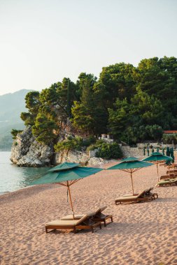 Berrak bir gökyüzünün altında yemyeşil ve kayalık kayalıklarla çevrili kumlu bir sahilde boş güneş şezlongları ve yeşil şemsiyelerle sakin bir sahil manzarası..