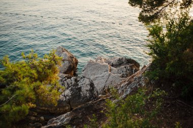 Bereketli yeşillik ve gün batımında sakin deniz manzaralı kayalık sahil manzarası.