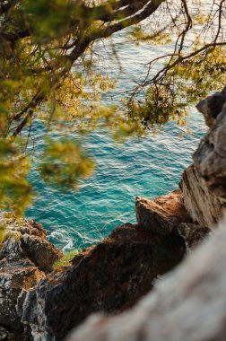 Turkuaz bir denize bakan ağaç dallarıyla kayalık bir uçurumdan bak..